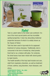  Plantation Kit - Tulsi