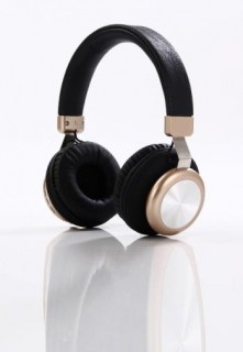Adjustable Headphone