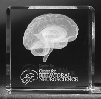 BRAIN 3D CRYSTAL PAPERWEIGHT