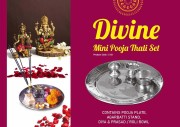 Divine Mini Pooja Thali set