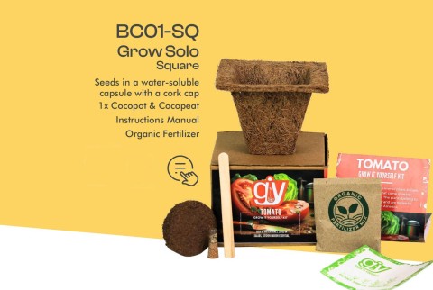 Eco Friendly Mini Grow Kit 