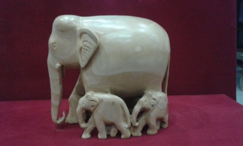 Elephant Family