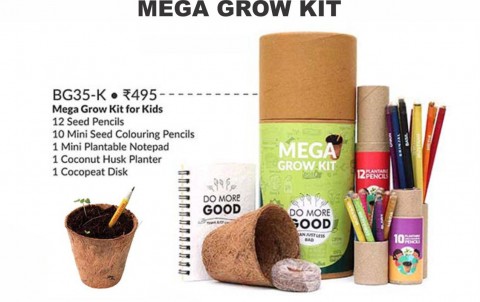 Mega Grow Kit for Kids