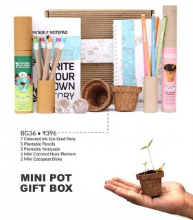 Mini Pot Gift Box - BG36