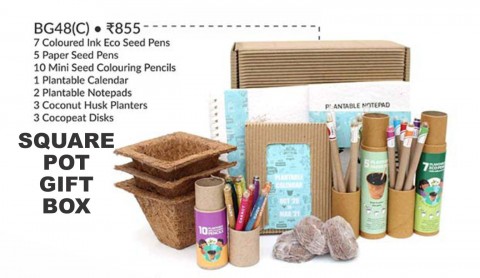 Square POT Gift Box - BG48C