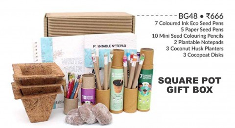 Square Pot Gift Box - BG48
