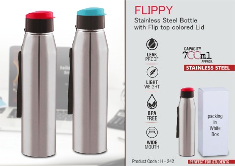 Stainless Steel Bottle