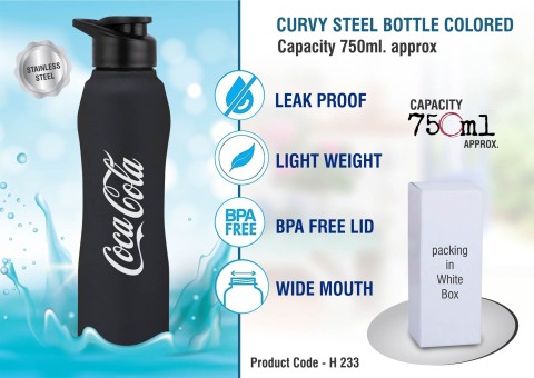 Steel Bottle
